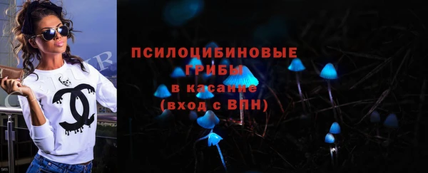 гидропоника Бугульма