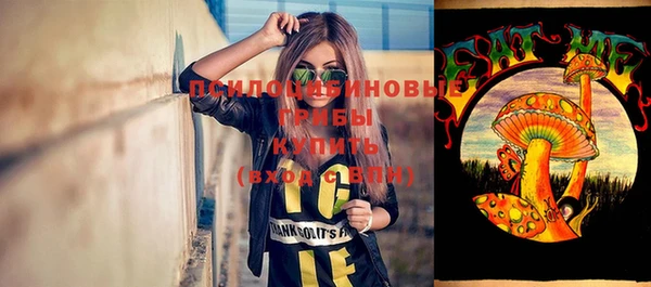 эйфоретик Строитель